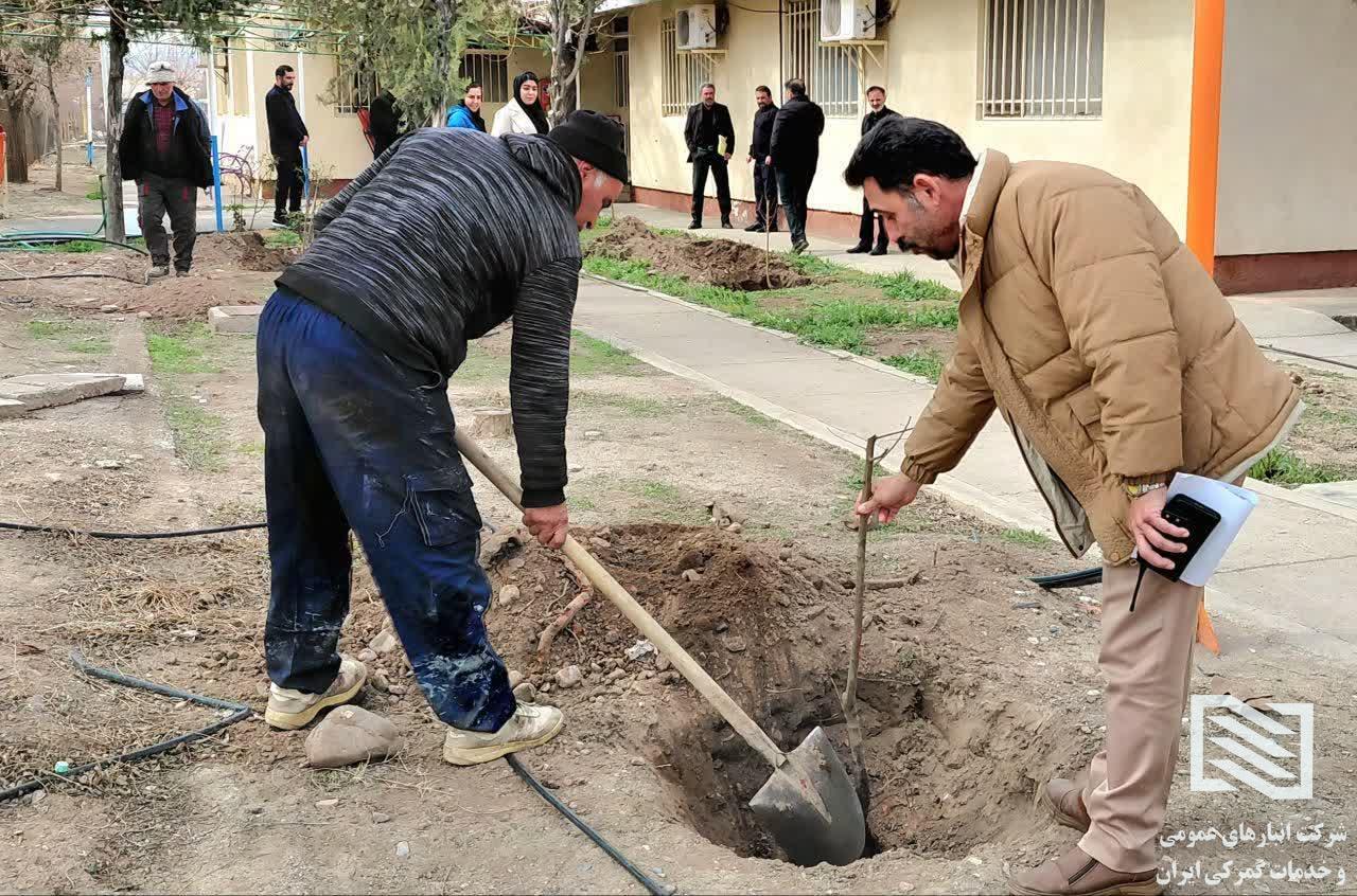 همدلی و ایثار به مناسبت روز درختکاری 2